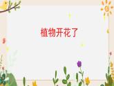 1.3植物開(kāi)花了 課件+視頻
