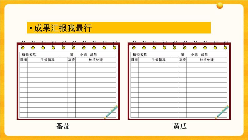 1.4 植物结果了 课件第4页