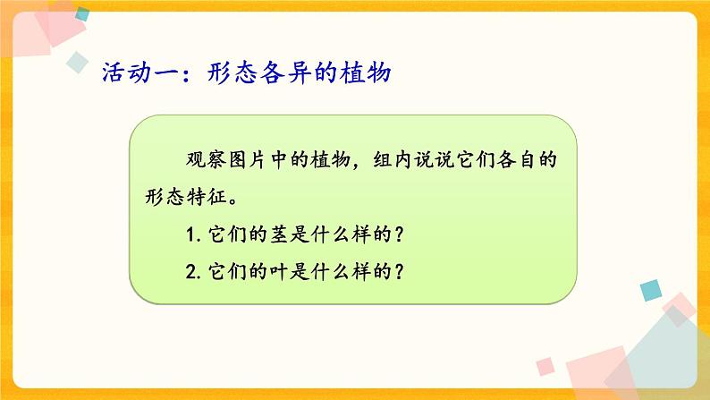 2.5不同环境中的植物 课件02