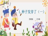 1.1種子發(fā)芽了（一）同步微課+課件