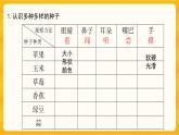 1.2種子發(fā)芽了第2課時同步微課+課件