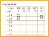 1.2种子发芽了第2课时同步微课+课件