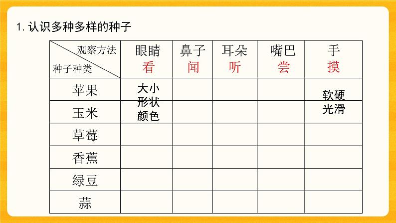 第一单元《植物的一生》第一课《种子发芽了二》课件第4页