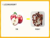 1.2種子發(fā)芽了第2課時同步微課+課件