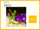 1.3植物開(kāi)花了同步微課+課件