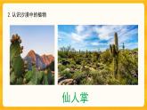 2.2沙漠中的植物同步微課+課件