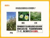 2.7水里的植物课件+教案+练习+素材