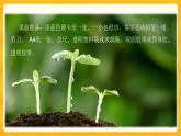 5.2云量和雨量 微课+课件