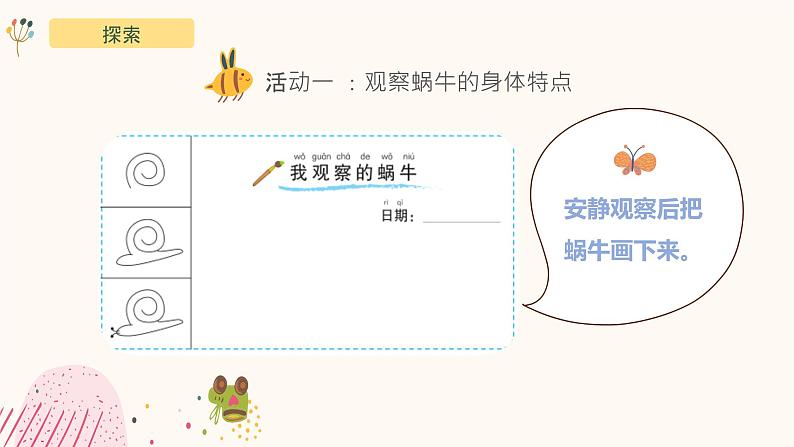 2.3《观察一种动物》课件-教科版(2017)科学一年级下册06