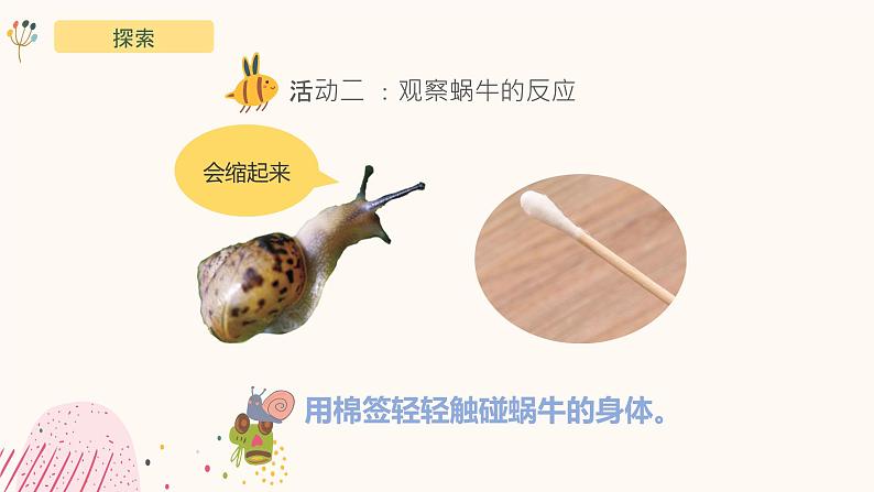 2.3《观察一种动物》课件-教科版(2017)科学一年级下册07