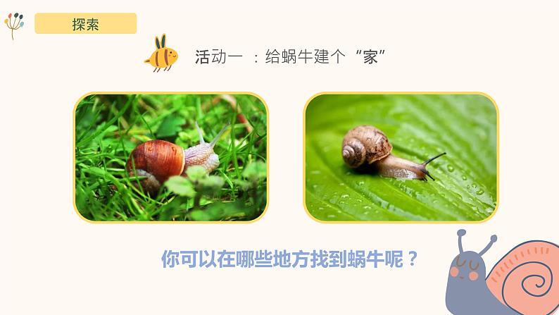 2.4《给动物建个“家”》课件-教科版(2017)科学一年级下册第5页