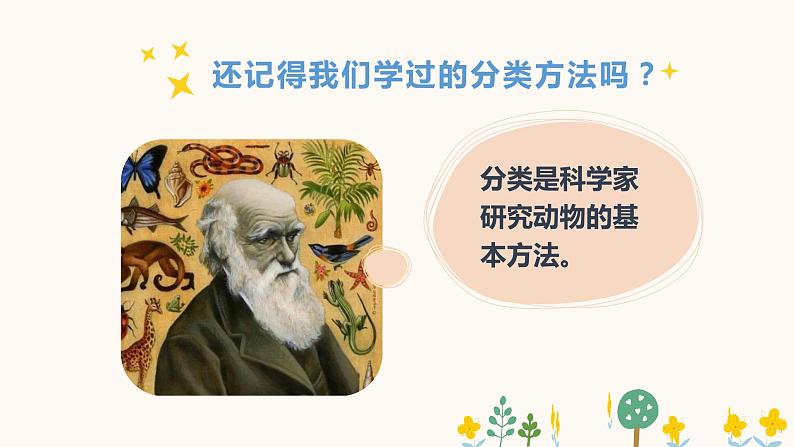 2.6《给动物分类》课件-教科版(2017)科学一年级下册03