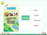 冀人版科学（2017）六年级上册第一单元《生命的延续》复习课件