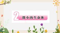 小学科学苏教版 (2017)五年级下册2 微小的生命体精品课件ppt