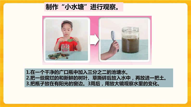 2微小的生命体 课件+视频02