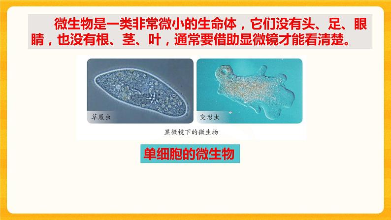 2微小的生命体 课件+视频06