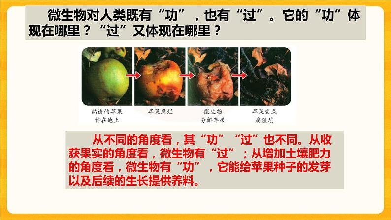 4.微生物的“功”与“过” 课件第5页