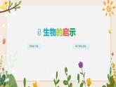 5生物的启示 课件+视频
