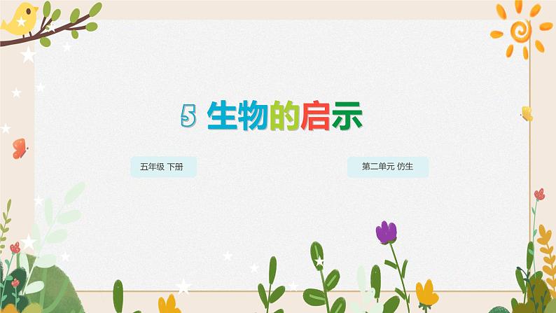 5 生物的启示 课件第1页