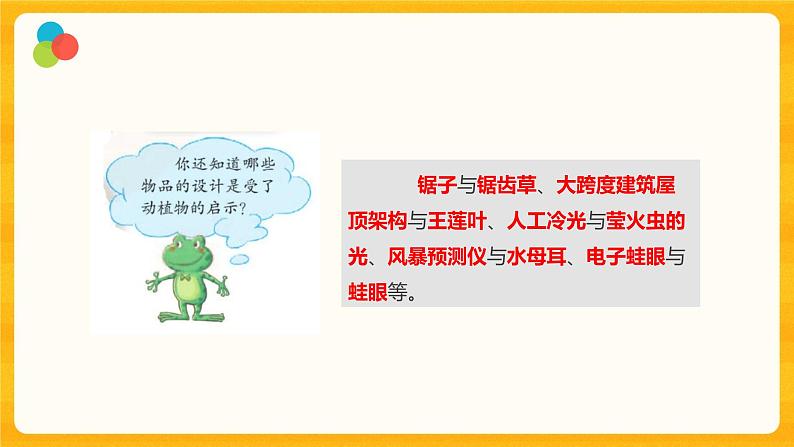 5 生物的启示 课件第4页