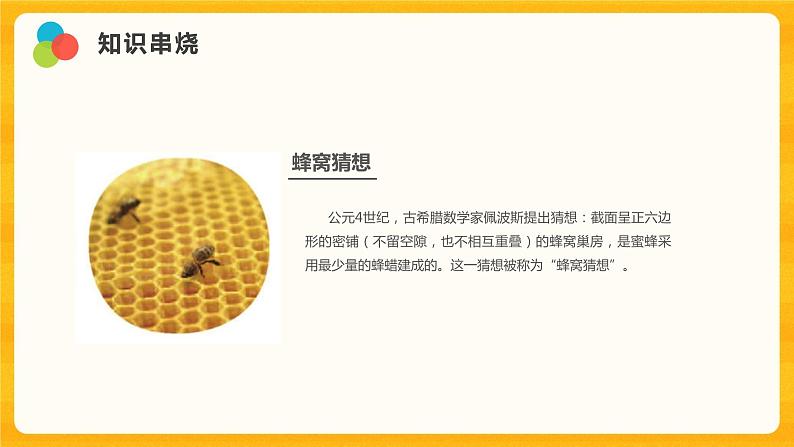 5 生物的启示 课件第5页