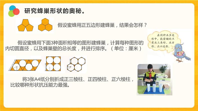 5 生物的启示 课件第6页
