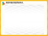 6蛋殼與薄殼結(jié)構(gòu) 課件+視頻