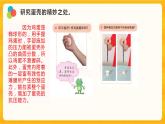 6蛋殼與薄殼結(jié)構(gòu) 課件+視頻
