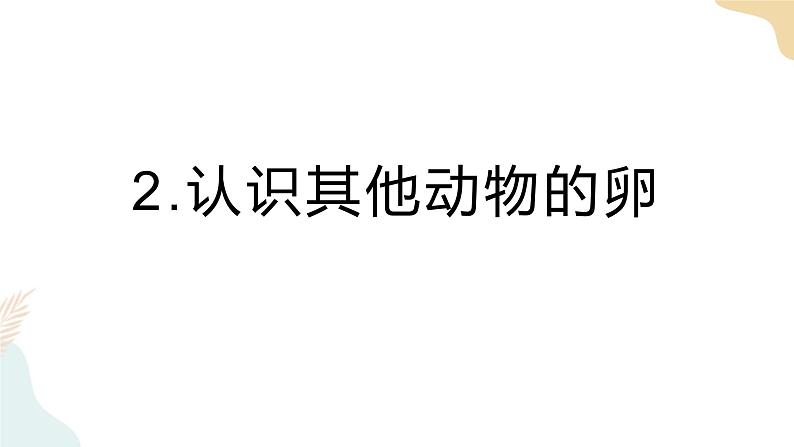 教科版 三年级下册 科学 2.2认识其他动物的卵（课件 +视频）01