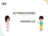 教科版 三年级下册 科学 2.2认识其他动物的卵（课件 +视频）