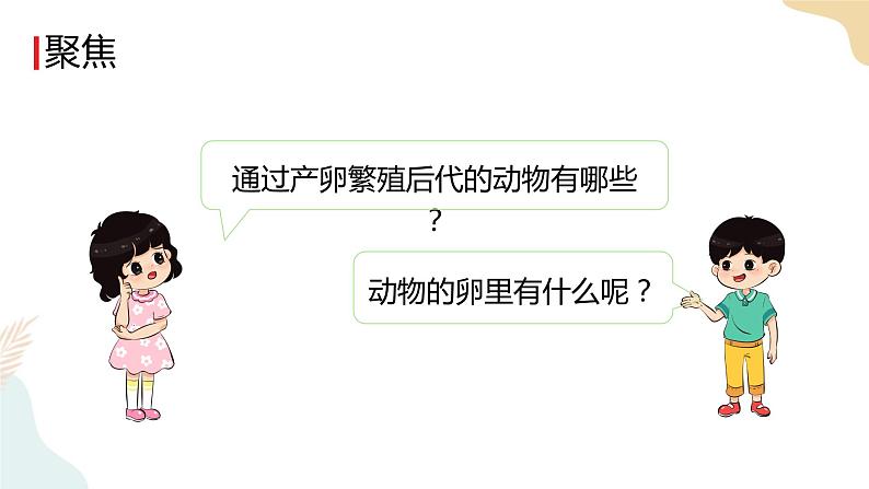 教科版 三年级下册 科学 2.2认识其他动物的卵（课件 +视频）03