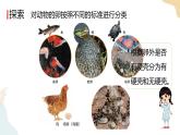 教科版 三年级下册 科学 2.2认识其他动物的卵（课件 +视频）