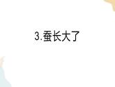 教科版 三年級下冊 科學 2.3蠶長大了（課件 +視頻）
