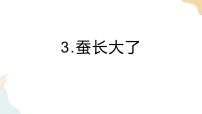 科学三年级下册3.蚕长大了优秀ppt课件