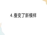 教科版 三年級下冊 科學(xué) 2.4 蠶變了新模樣（課件 +視頻）