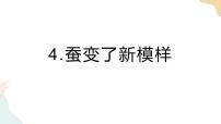 教科版 (2017)三年级下册4.蚕变了新模样优秀课件ppt