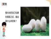 教科版 三年級下冊 科學(xué) 2.4 蠶變了新模樣（課件 +視頻）