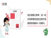 教科版 三年級下冊 科學(xué) 2.4 蠶變了新模樣（課件 +視頻）