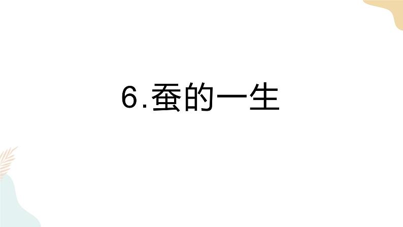 教科版 三年级下册 科学 2.6蚕的一生（课件 +视频）01