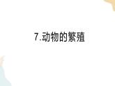 教科版 三年级下册 科学 2.7动物的繁殖（课件 +视频）