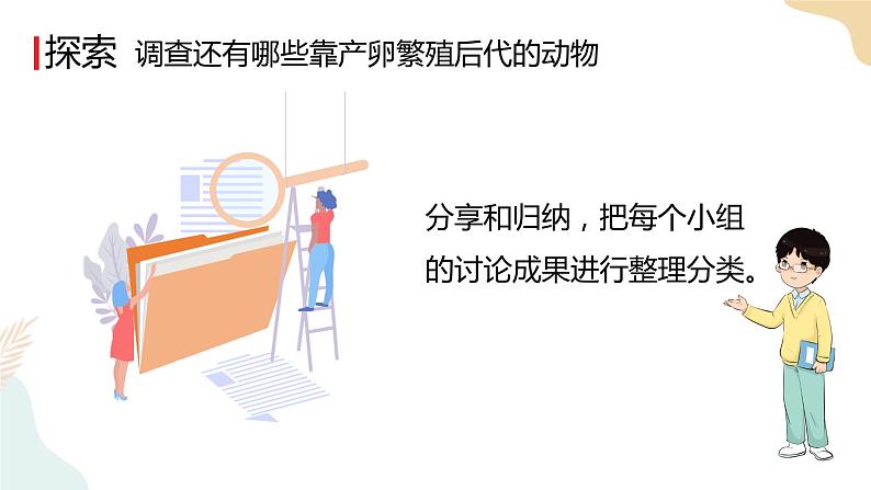 教科版 三年级下册 科学 2.7动物的繁殖（课件 +视频）06