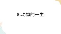 小学科学教科版 (2017)三年级下册8.动物的一生一等奖ppt课件