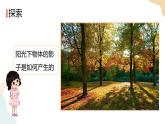 教科版 三年級下冊 科學(xué) 3.3 影子的秘密（課件 +視頻）