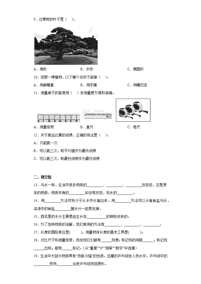 教科版一年级科学上册期末综合测试A卷含答案02