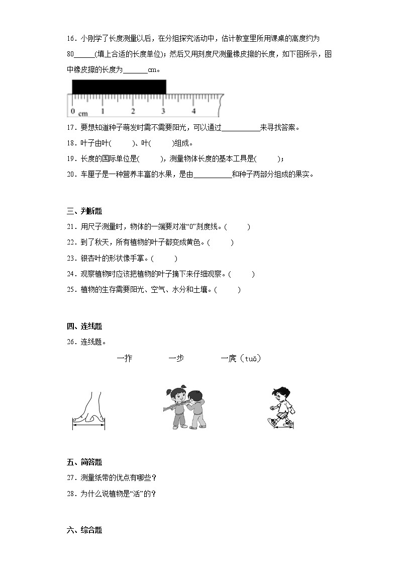 教科版一年级科学上册期末综合测试B卷含答案03