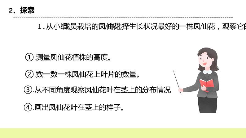 教科版科学四年级下册4.《茎和叶》课件ppt（送教案+练习）04