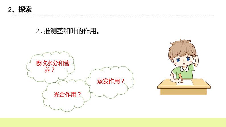 教科版科学四年级下册4.《茎和叶》课件ppt（送教案+练习）06