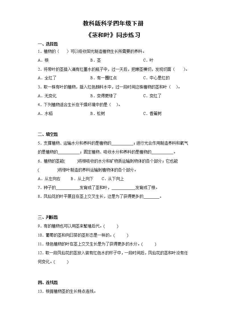 教科版科学四年级下册4.《茎和叶》课件ppt（送教案+练习）01