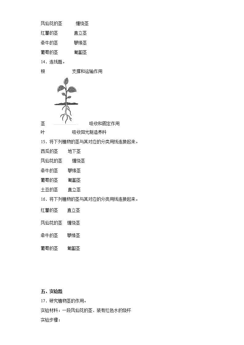 教科版科学四年级下册4.《茎和叶》课件ppt（送教案+练习）02