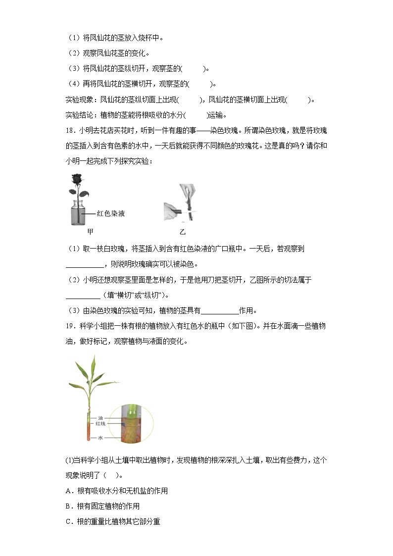 教科版科学四年级下册4.《茎和叶》课件ppt（送教案+练习）03